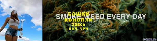 мдпв Зеленодольск