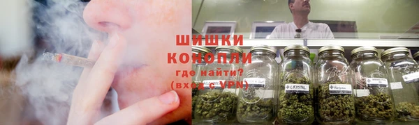 мдпв Зеленодольск