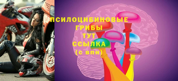 мдпв Зеленодольск