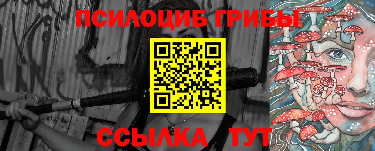 Галлюциногенные грибы Magic Shrooms  купить   Галлюциногенные грибы Cubensis  Славгород 