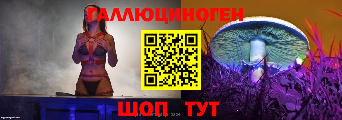 Галлюциногенные грибы MAGIC MUSHROOMS  Псилоцибиновые грибы прущие грибы  Славгород  Вход с VPN 
