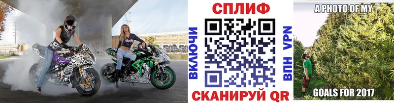 Каннабис индика  Славгород 